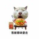 用户头标