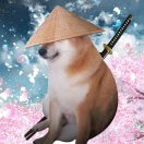 chemms的头像-VAM®克苏恩资源社区