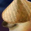 迷路的皮皮虾的头像-长游分享网