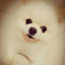 一朵白云儿(￣o￣) . z Z🤪～