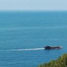 Profile picture of 793046018