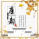 A银杏黄芩提取物康都药业（付）