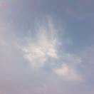 小海豚_36316091