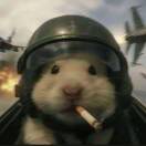 user_58qlfbz04pcdcy0r member profile picture