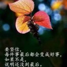 启点学杯作文大赛肖雅如