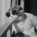 小熊的头像-博士钣金 - www.bsbanjin.com