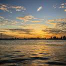 和光同尘的头像-熵减岛