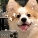 susujas的头像-棉花糖会员站