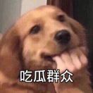 yffjglcms's Avatar