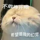 周承晨