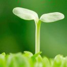 沐哥哥的钢琴谱