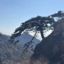 麦浪-龙猫科技站