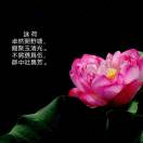 只因有你