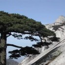 立地