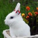 刘庆的头像-博士钣金 - www.bsbanjin.com