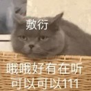 空空如也