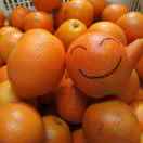 统农水果分选机@18370772001谢的头像 