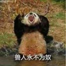 随缘