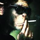 hangun的头像-棉花糖会员站