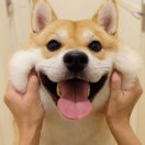 范涛