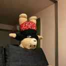 u客直谈实名认证成晓龙