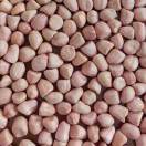 江苏东海俊玮花生米加工厂