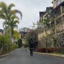 自悟的头像-熵减岛