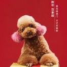 四川有友龚冉