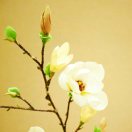 wx_风生水起40