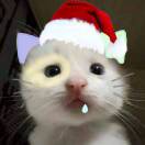 鲁国太子鲁王的头像-松纸工作室博客