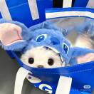 追逐光的影子-风行者社区