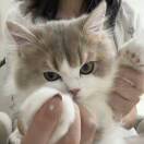 【交笔友】三澄澄