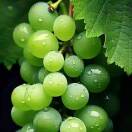 值得-大头针哦哦