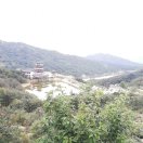 山枣