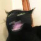 云雲雲雲-小果迷