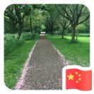 怡然自得走乾坤