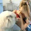 XUuue的头像-博士钣金 - www.bsbanjin.com