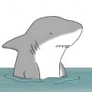 user icon