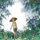 稻草人