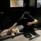 Student Castle Durham转租&房东直租