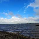 山陀儿的头像-创薯资源