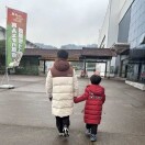 一片桃花林