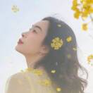 易林艳