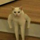 程佑鑫