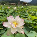 电商平台-曾高铭