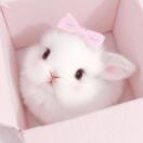 布里斯托求租