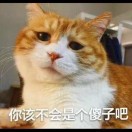 歪歪芙