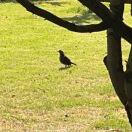 言如玉印的头像-博士钣金 - www.bsbanjin.com