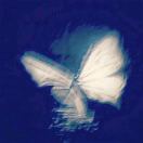 Butflyy的头像-梦马考研