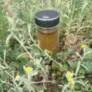 品味人生15508333000